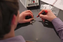 Hearing Aid Repair